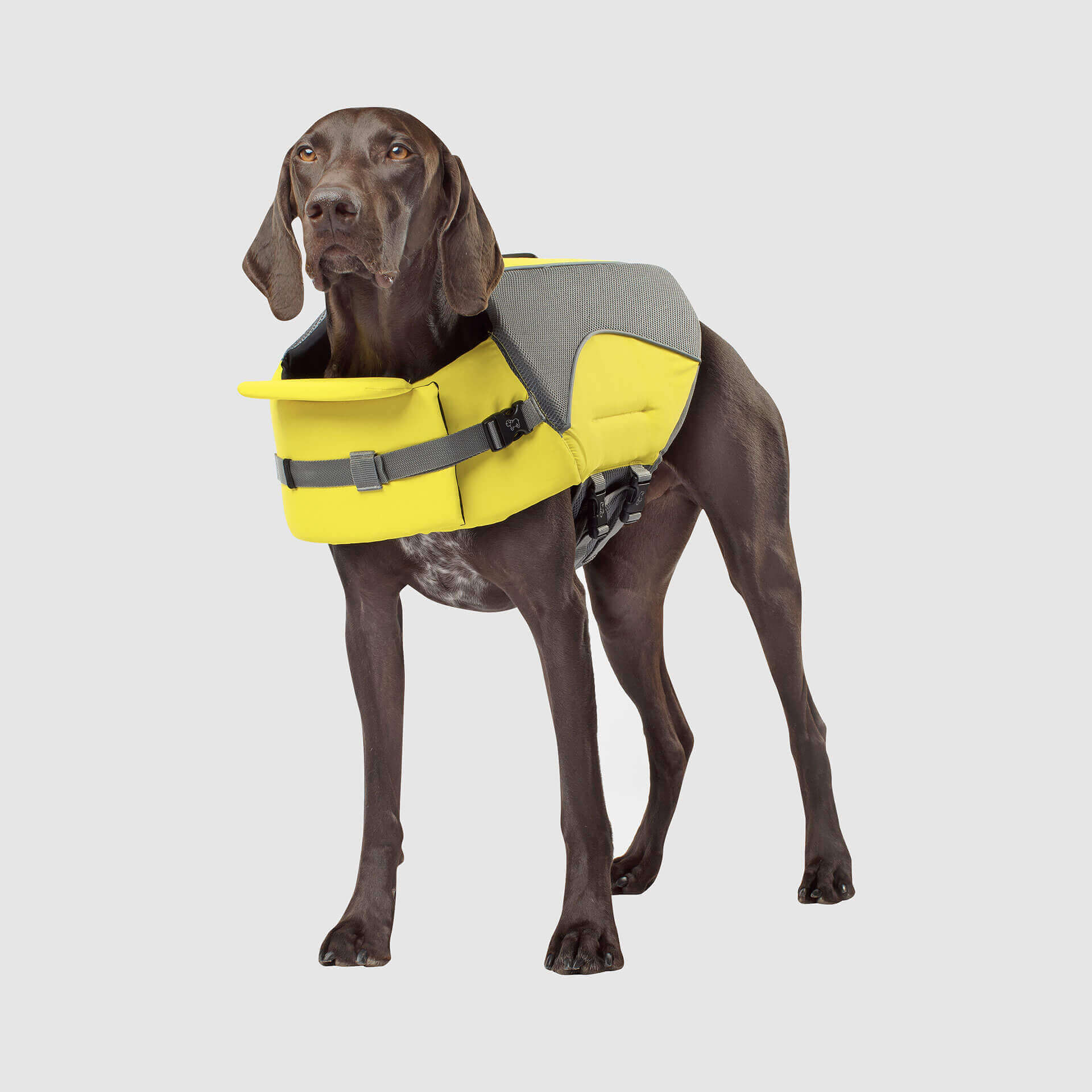 Wave Rider Life Jacket A0