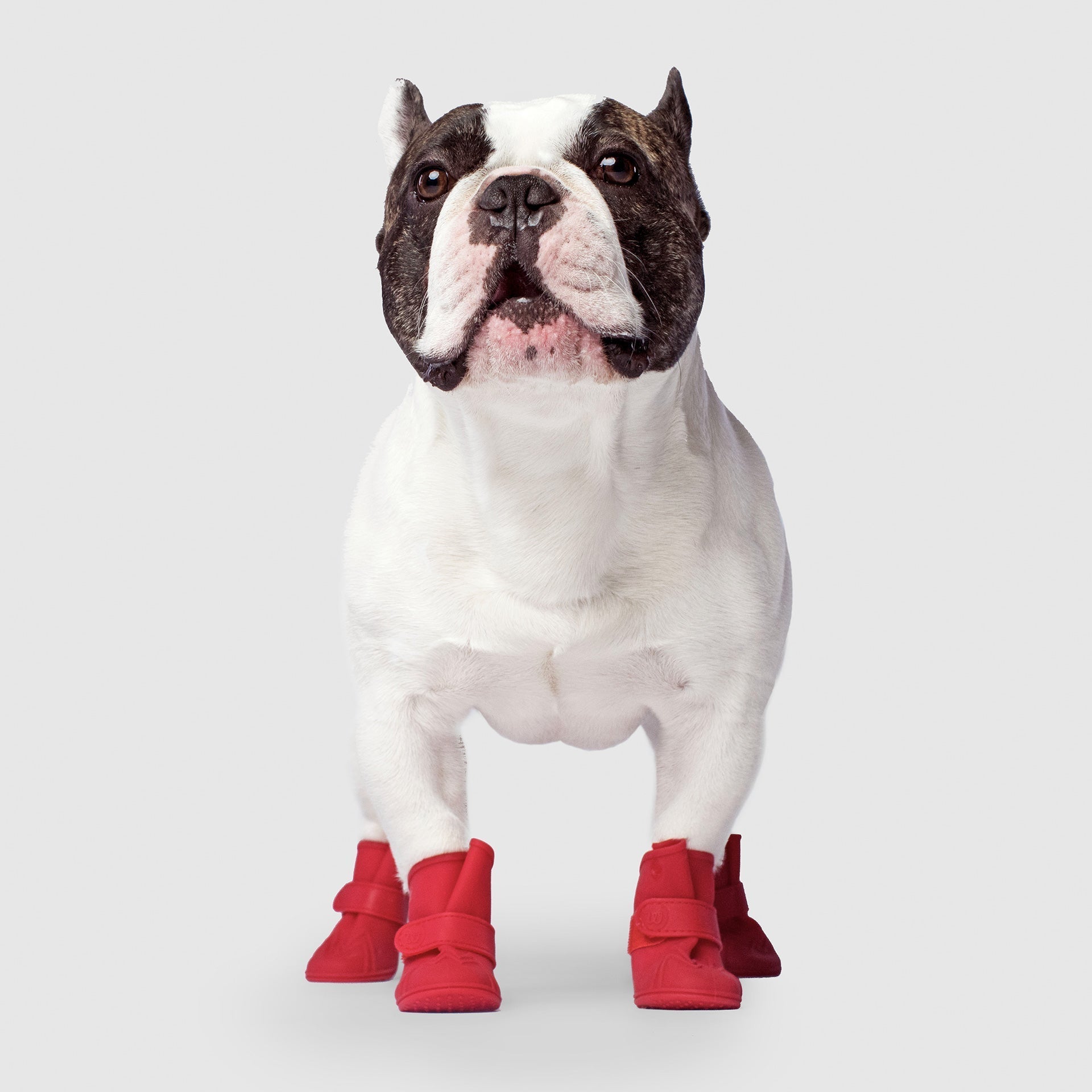 Unlined Wellies V9
