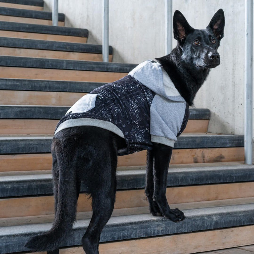 Whatever The Weather Hoodie J9