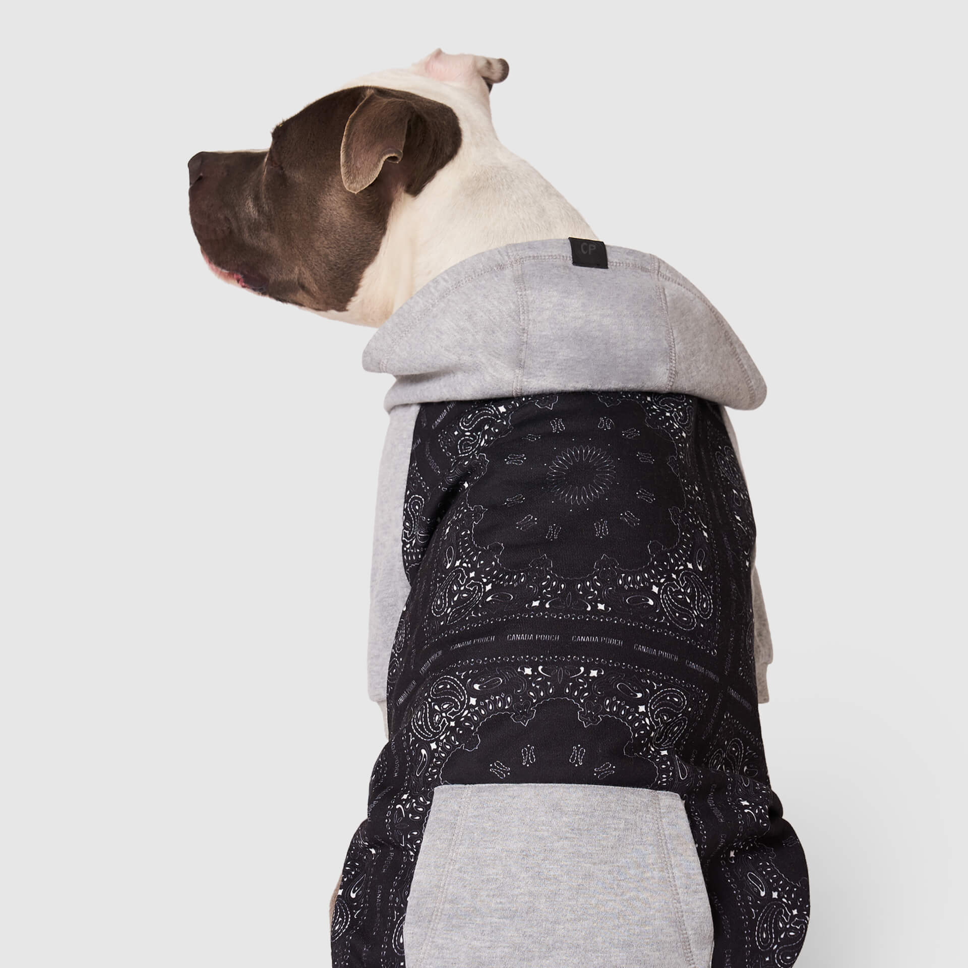 Whatever The Weather Hoodie J9