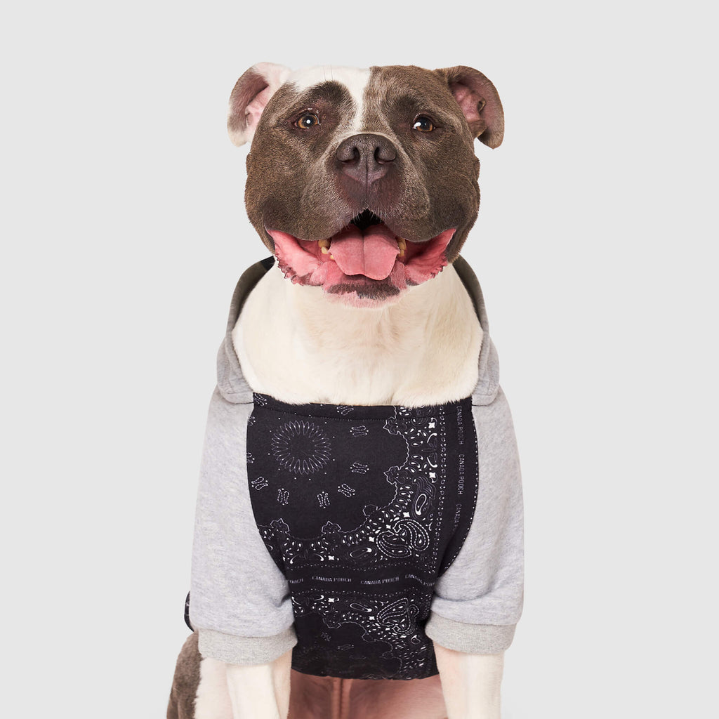 Whatever The Weather Hoodie J9