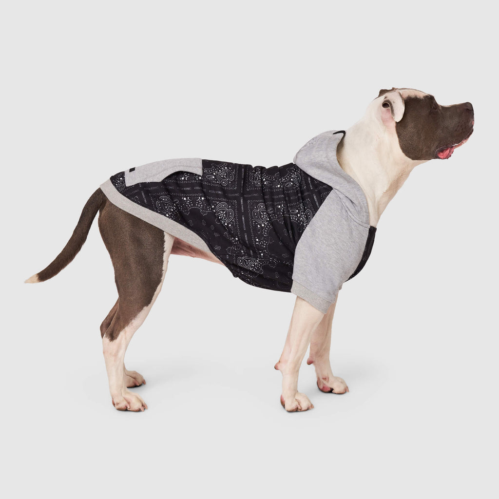 Whatever The Weather Hoodie J9