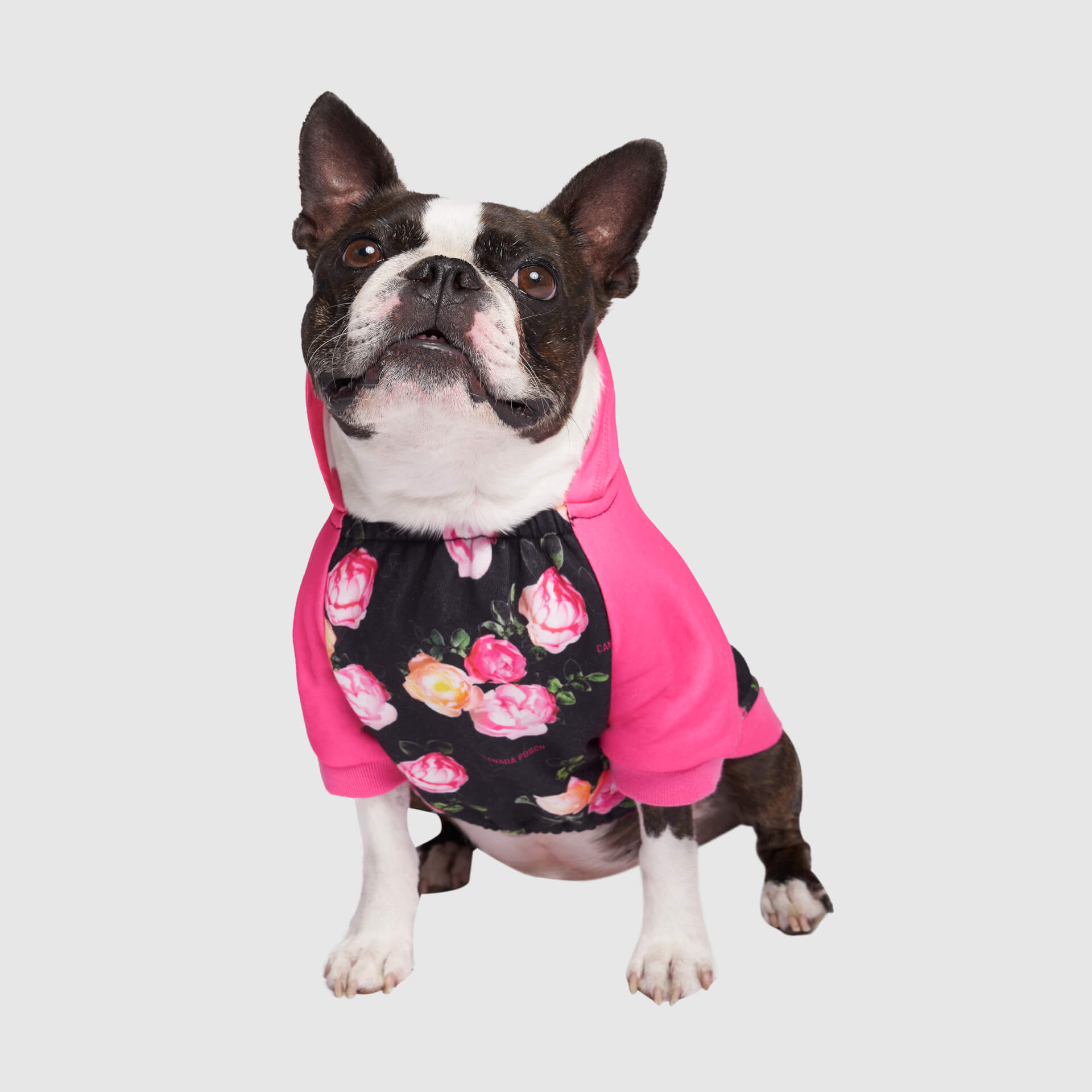 Whatever The Weather Hoodie J9