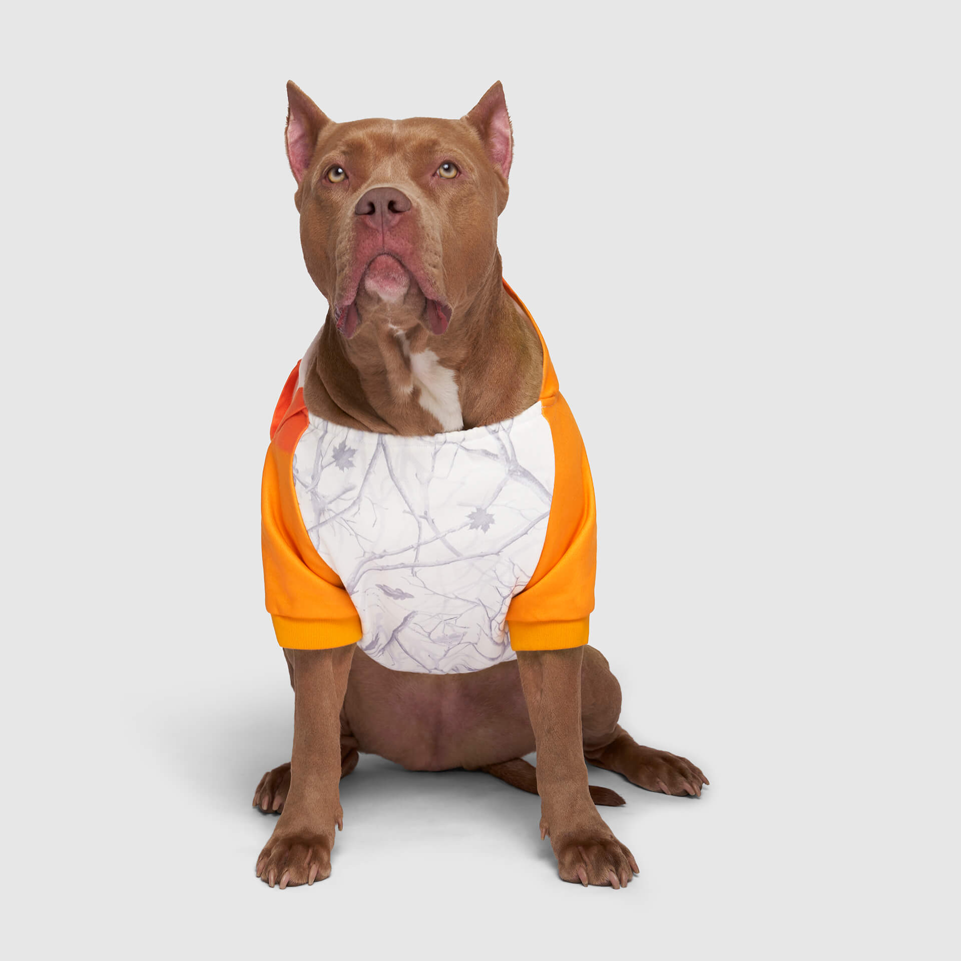 Whatever The Weather Hoodie J9