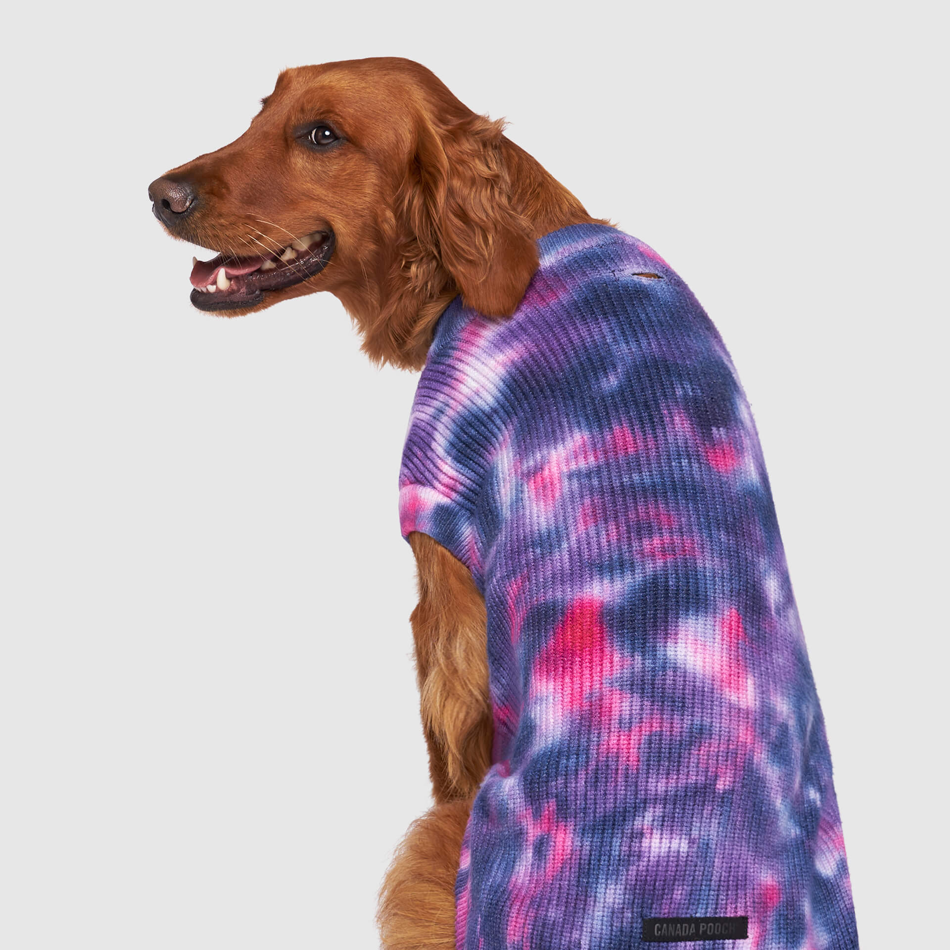 Wild Side Sweater V9