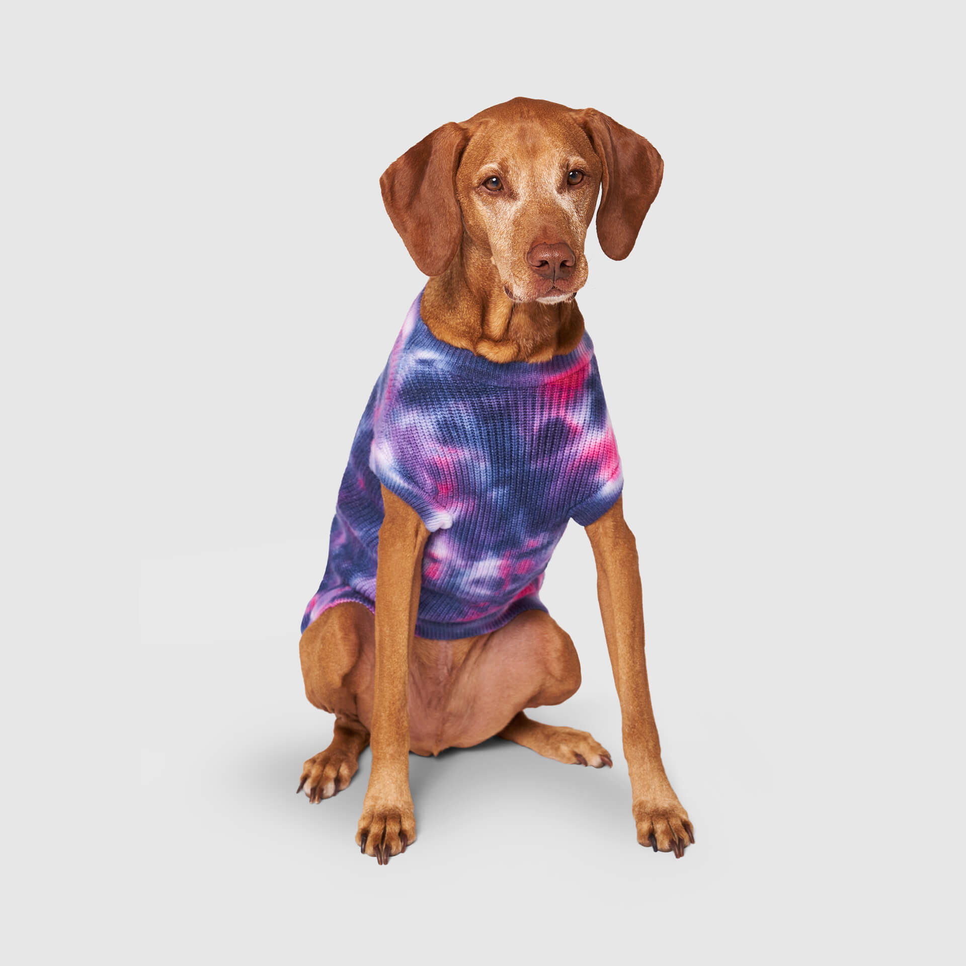 Wild Side Sweater V9